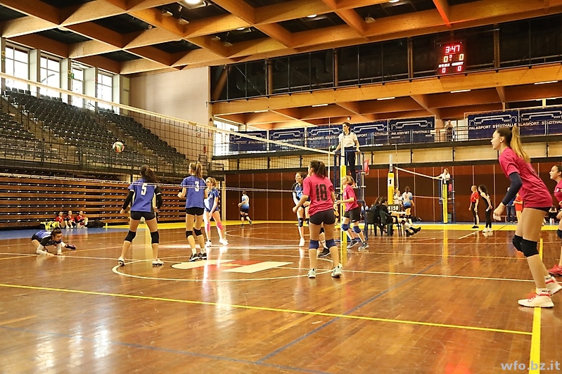 volley 145