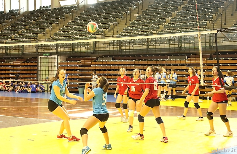 volley 174
