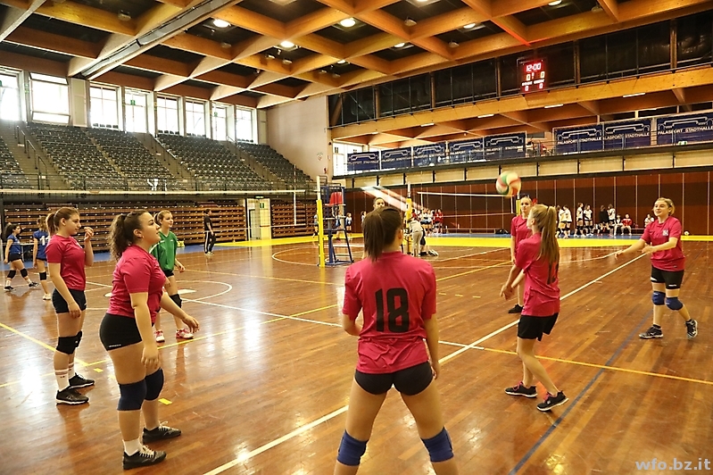 volley 181