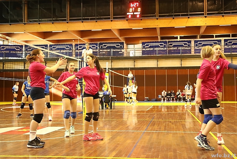 volley 219