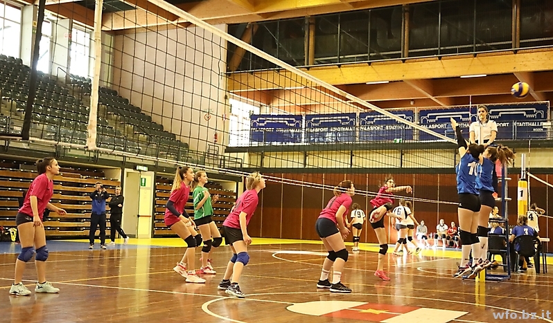 volley 234