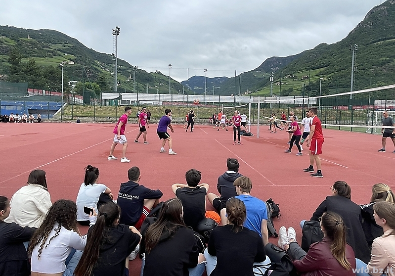 volley 312