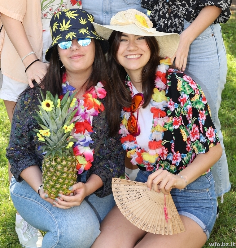 hawaii 119