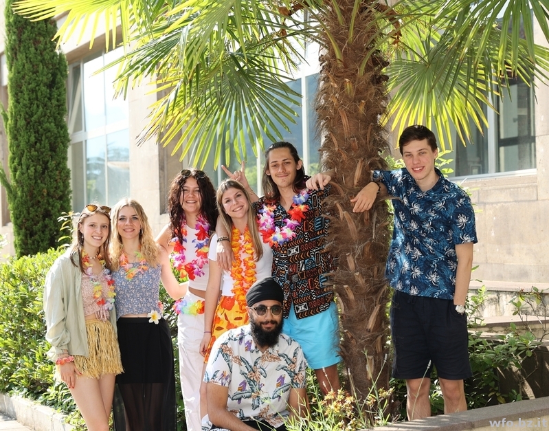 hawaii 207