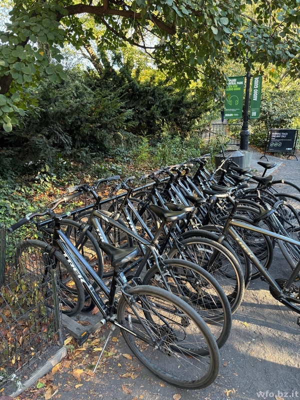 Amherst T2 2025 (11)