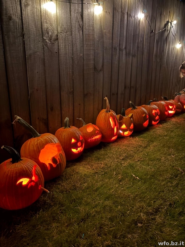 Amherst T2 2025 (114)