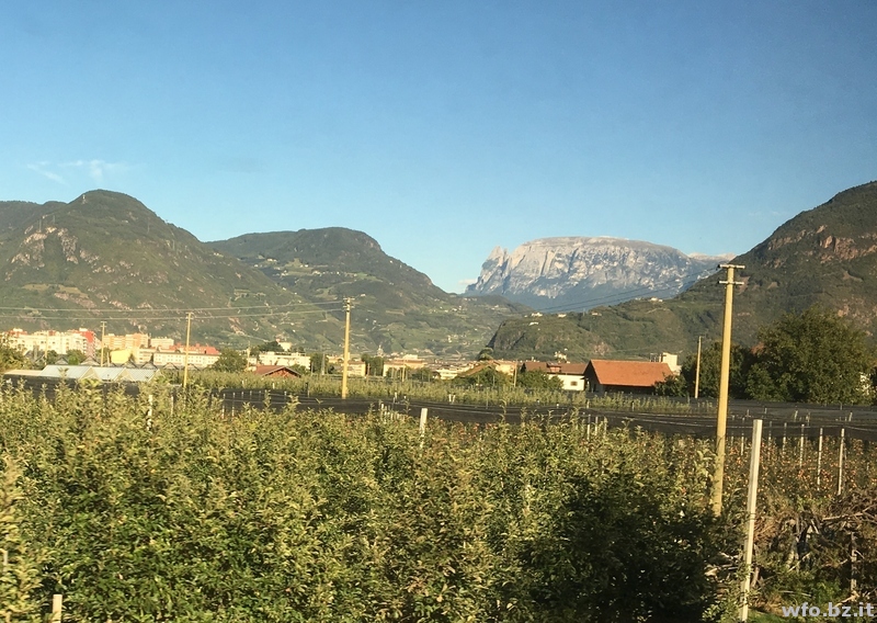 2b-ws meran2000 157