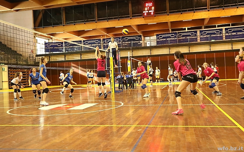 volley 203