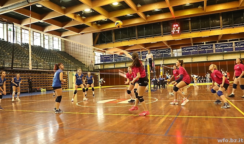 volley 204