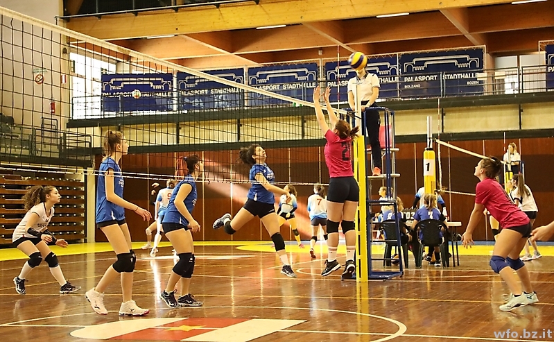 volley 208