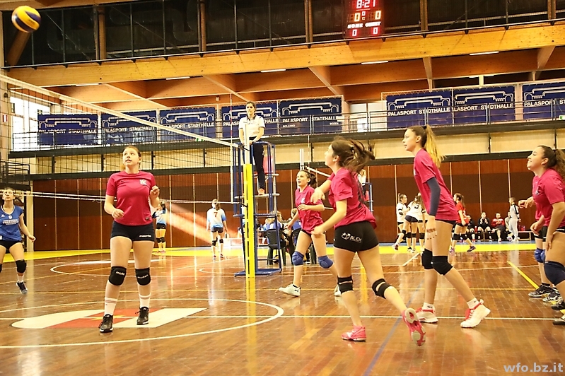 volley 209