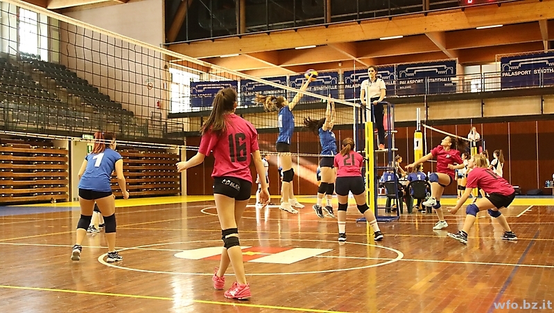 volley 211