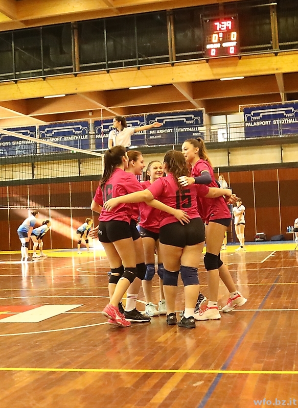 volley 213