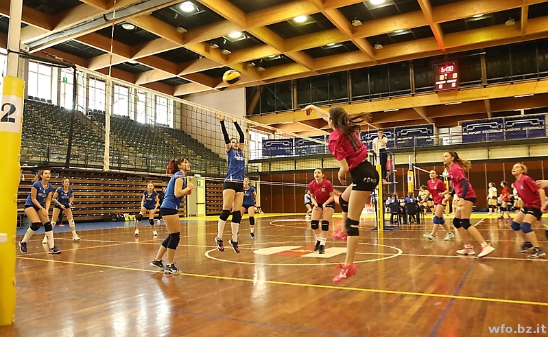 volley 221