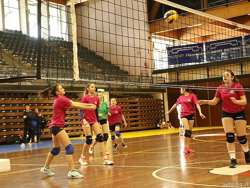 volley 229