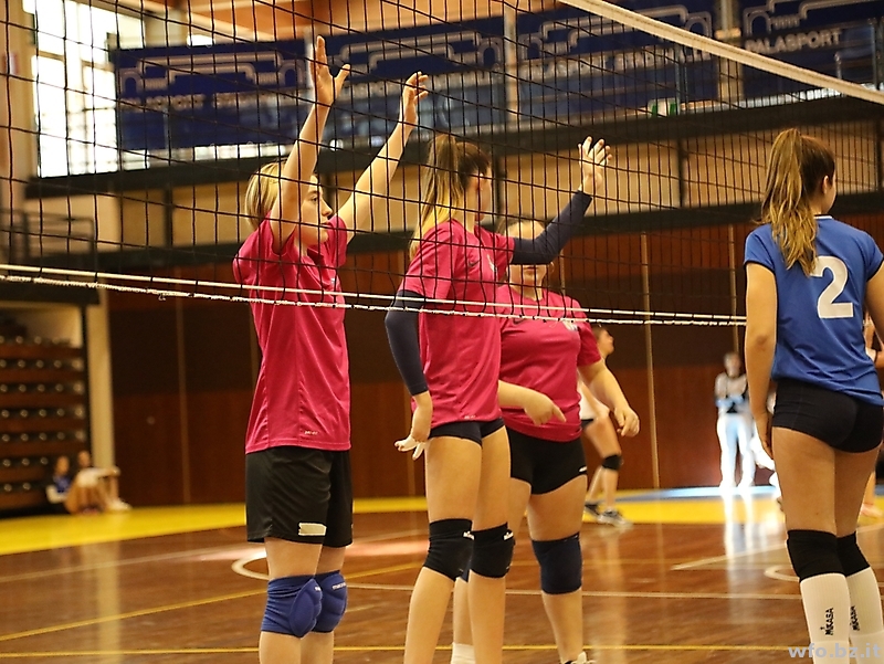 volley 242