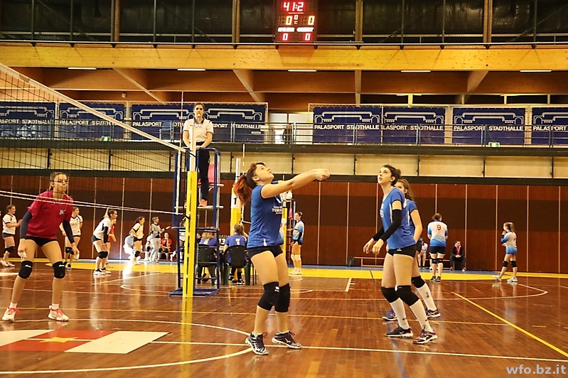 volley 245