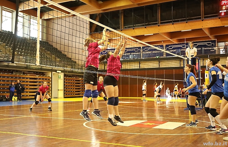 volley 246