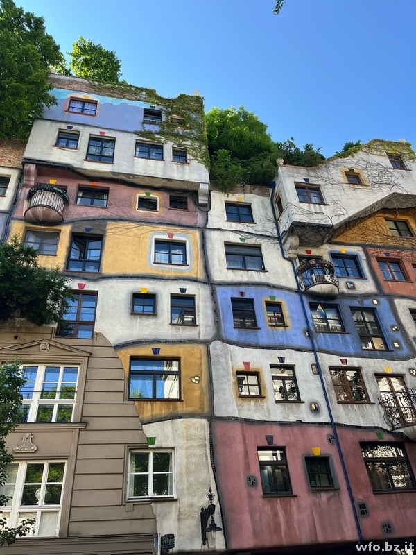 Wien 2025 (1)