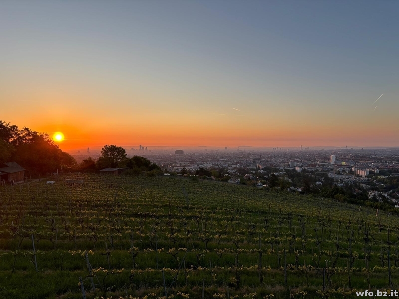 Wien 2025 (9)