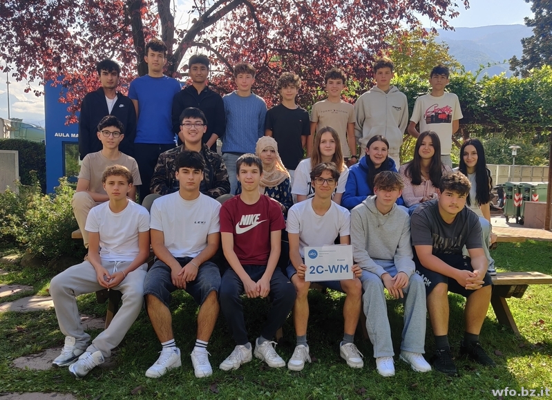 2C-WM