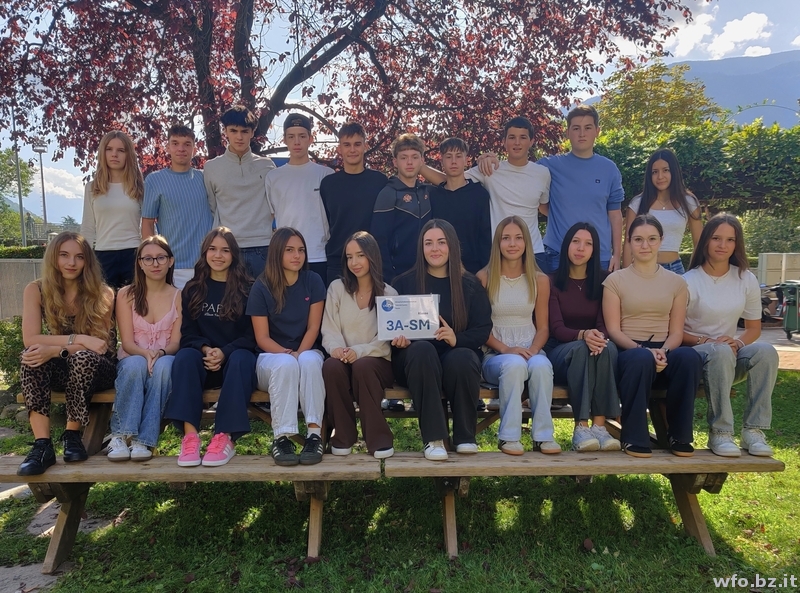 3A-SM