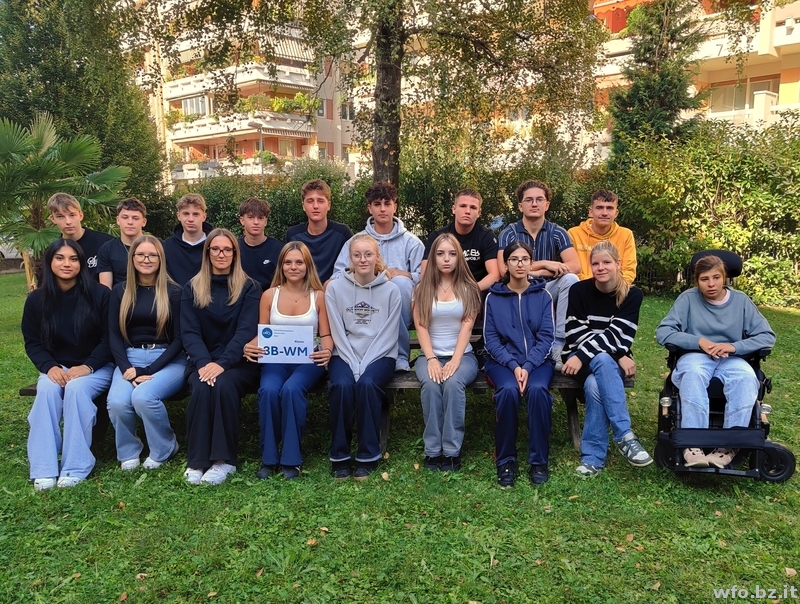 3B-WM