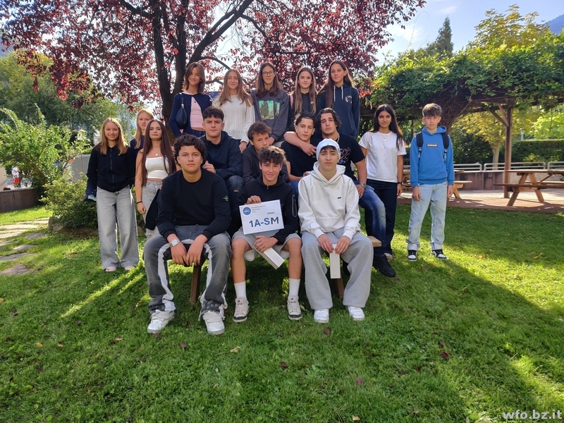 1A-SM