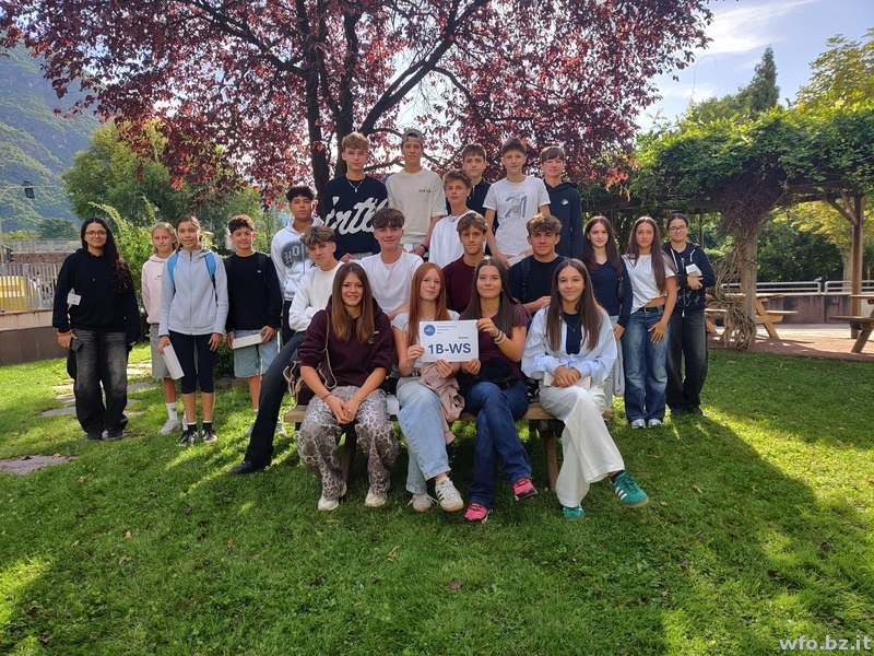 1B-WS