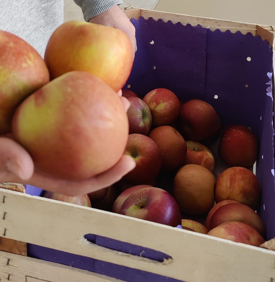 Apfeltag2025 (2).jpg