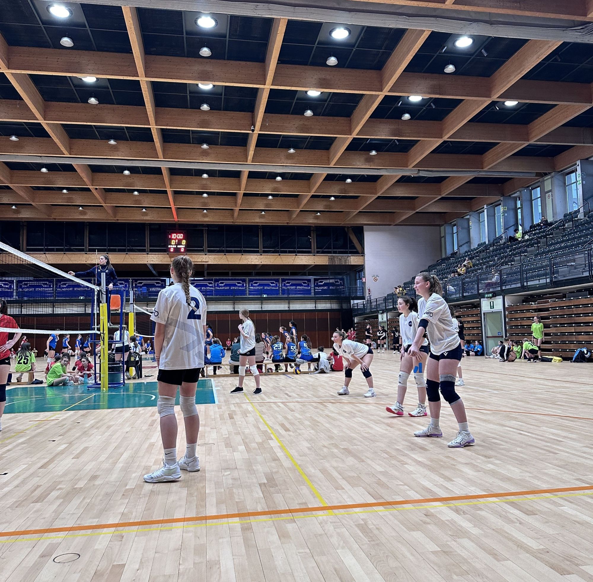 Volley M 25 (40).jpg