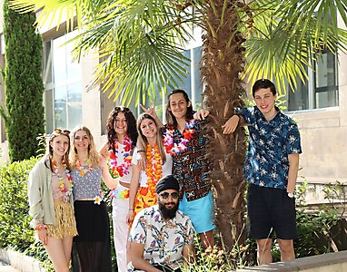 hawaii 207