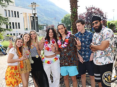 hawaii 211