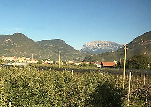 2b-ws meran2000 157