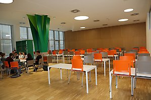 wfo bozen___88