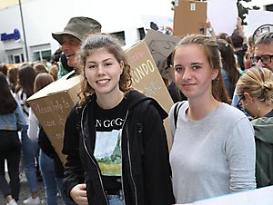klimastreik 208