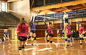 Volley Jugend Mädchen