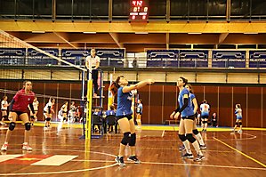 volley 245