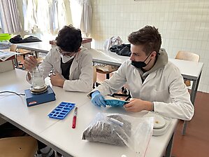 projekttage 403