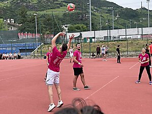 volley 326