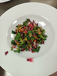 Auf die Töpfe 2024 (88)