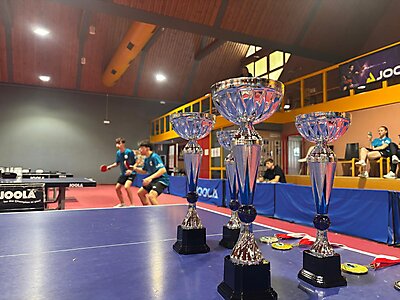 Tischtennis LM 2025 (17)