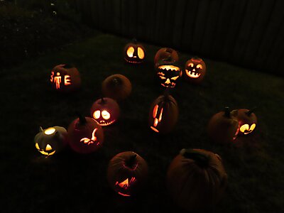 Amherst T2 2025 (103)