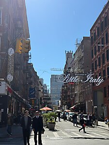 Amherst T2 2025 (122)