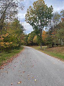 Amherst T2 2025 (144)