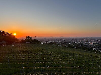 Wien 2025 (9)